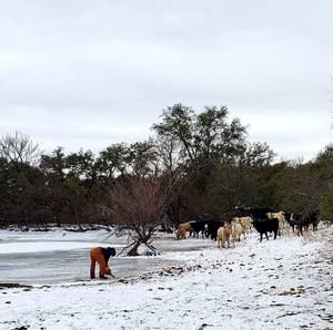 Meet your Posher, Lynda